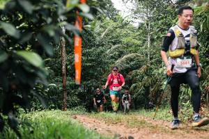 BIB: 
                            <button type="button" onclick="openModal(26425366)" class="btn btn-primary btn-sm float-right btn-popup" data-toggle="modal" data-target=".modal-high-quality">
                        <i class="fas fa-shopping-cart"></i> Add to Cart
                    </button>
                                            <button type="button" onclick="isThisMe(26425366, true)" class="btn btn-success btn-sm float-right btn-popup btn-isme hidden" data-toggle="tooltip" data-placement="bottom" title="นี่คือรูปของคุณใช่ไหม คลิกที่นี่เพื่อเอาเข้าอัลบั้ม">
                        <i class="fas fa-plus"></i> Add to album
                    </button>
                    <button type="button" onclick="isThisMe(26425366, false)" class="btn btn-warning btn-sm float-right btn-popup btn-isnotme hidden">
                        <i class="fas fa-ban"></i> Remove from album
                    </button>